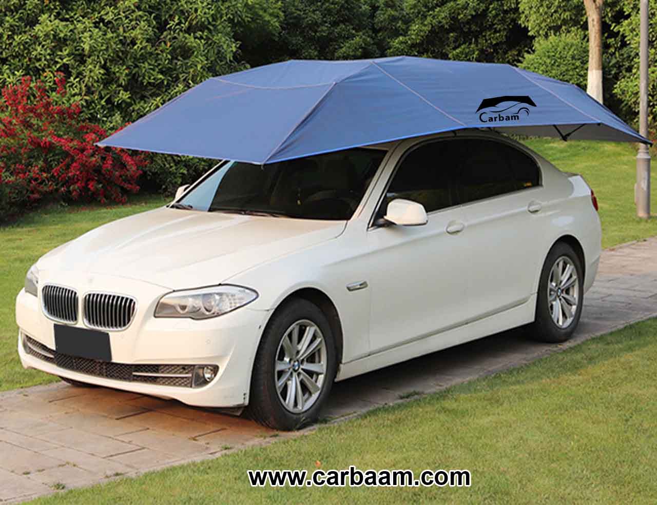 Зонт для машины
